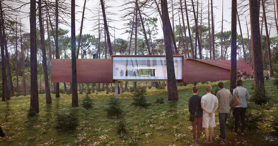 Forest Library Forest Library 3D Exterior Visualization